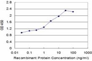 ELISA image for anti-Solute Carrier Family 14 (Urea Transporter, Kidney) Member 2 (SLC14A2) (AA 40-128) antibody (ABIN563555)