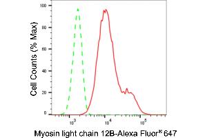 Flow cytometric analysis of Myosin light chain 12B expression in H9c2 cells using Myosin light chain 12B antibody (ABIN7799527), 1:2,000). (Recombinant MYL12B 抗体)
