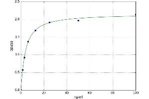 A typical standard curve (Talin ELISA 试剂盒)