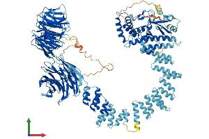 AlphaFold protein structure predicition of Human Recombinant IFT122 Protein, UniprotID Q9HBG6