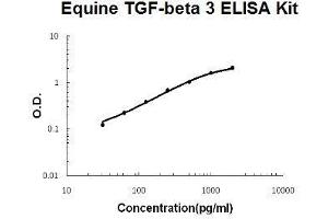 Horse equine TGF-beta 3 PicoKine ELISA Kit standard curve (TGFB3 ELISA 试剂盒)