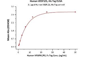 Immobilized Human VEGFR1/R2, Fc Tag at 1 μg/mL (100 μL/well) can bind Human VEGF121, His Tag (ABIN2870704,ABIN2870705) with a linear range of 3-50 ng/mL (QC tested). (VEGF Protein (AA 27-147) (His tag))
