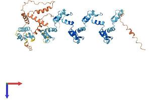 Protein Structure (PS) image for Zinc Finger Protein 100 (ZNF100) (AA 1-542) protein (His tag) (ABIN7545301)