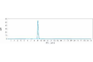 anti-Interleukin 5 (IL5) antibody