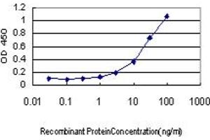 Detection limit for recombinant GST tagged MUC5AC is approximately 3ng/ml as a capture antibody. (MUC5AC 抗体  (AA 351-450))