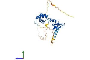 Protein Structure (PS) image for Nascent Polypeptide Associated Complex alpha 1 (NACa1) (AA 1-215) protein (His tag) (ABIN7557620)