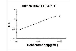 CD48 (CD48) ELISA Kit