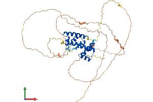 Protein Structure (PS) image for POU Class 2 Homeobox 3 (POU2F3) (AA 1-431) protein (His tag) (ABIN7563117)