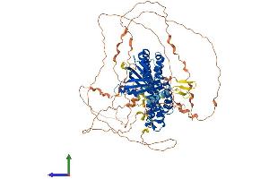 Protein Structure (PS) image for rho Guanine Nucleotide Exchange Factor (GEF) 15 (ARHGEF15) (AA 1-841) protein (His tag) (ABIN7552382)