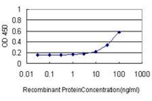Detection limit for recombinant GST tagged MKNK1 is approximately 3ng/ml as a capture antibody. (MKNK1 抗体  (AA 1-465))