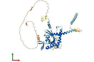 AlphaFold protein structure predicition of Human Recombinant SEPTIN4 Protein, UniprotID O43236