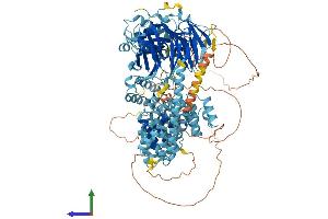 AlphaFold protein structure predicition of Human Recombinant HPS5 Protein, UniprotID Q9UPZ3