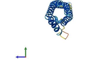 Protein Structure (PS) image for Cornichon Homolog 2 (CNIH2) (AA 1-160) protein (His tag) (ABIN7562264)