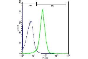 Mouse probed with Rabbit Anti-TRPM2 Polyclonal Antibody, Unconjugated (ABIN681223) (green) at 1:100 for 40 minutes followed by a FITC conjugated secondary compared to control cells (blue). (TRPM2 抗体  (AA 951-1050))