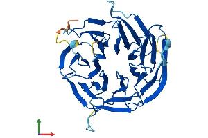 Protein Structure (PS) image for G protein beta subunit-like (GBL) (AA 1-326) protein (His tag) (ABIN7565017)