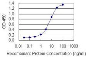 Detection limit for recombinant GST tagged TET1 is 0. (TET1 抗体  (AA 2038-2136))