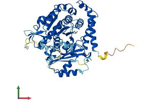 Protein Structure (PS) image for Tubulin, alpha 1a (Tuba1a) (AA 1-451) protein (His tag) (ABIN7556658)