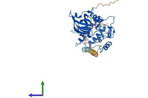 Protein Structure (PS) image for Death-Associated Protein Kinase 2 (DAPK2) (AA 1-370) protein (His tag) (ABIN7564742)