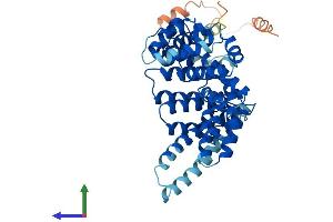 AlphaFold protein structure predicition of Mouse Recombinant Taf1a Protein, UniprotID P97357