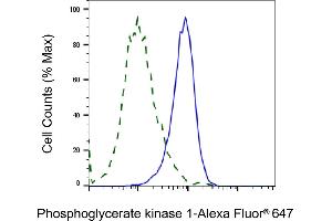 Validation of Phosphoglycerate kinase 1 knockdown using flow cytometry. (PGK1 抗体)