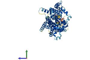 AlphaFold protein structure predicition of Mouse Recombinant Pigz Protein, UniprotID Q8BTP0