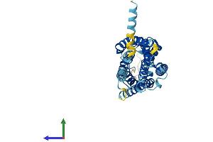 AlphaFold protein structure predicition of Mouse Recombinant P2ry6 Protein, UniprotID Q9ERK9