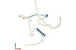 Protein Structure (PS) image for PAXIP1 Associated Glutamate-Rich Protein 1 (PAGR1) (AA 1-254) protein (His tag) (ABIN7554843)