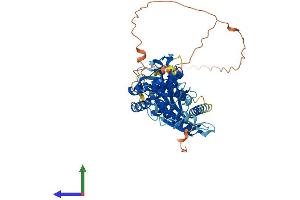 Protein Structure (PS) image for Transmembrane Protein 102 (TMEM102) (AA 1-508) protein (His tag) (ABIN7544383)
