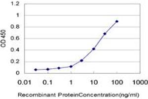 Detection limit for recombinant GST tagged ZNF24 is approximately 0. (ZNF24 抗体  (AA 1-368))