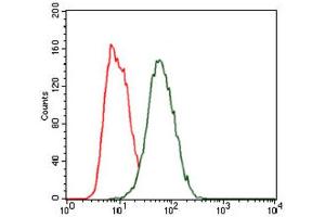 Flow Cytometry (FACS) image for anti-Hexosaminidase A (HEXA) antibody (ABIN1846273) (Hexosaminidase A 抗体)