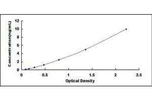 Typical standard curve (SOX1 ELISA 试剂盒)