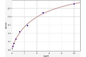 TLR3 ELISA 试剂盒