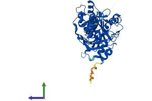 Protein Structure (PS) image for Dom-3 Homolog Z (DOM3Z) (AA 1-396) protein (His tag) (ABIN7547201)