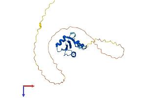 AlphaFold protein structure predicition of Mouse Recombinant Sh3bgr Protein, UniprotID Q9WUZ7 (SH3BGR Protein (AA 1-214) (His tag))