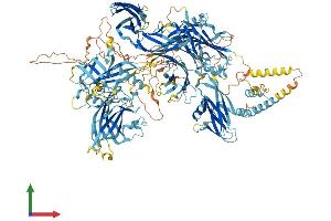 Protein Structure (PS) image for Nephronophthisis 4 (NPHP4) (AA 1-1425) protein (His tag) (ABIN7563477)