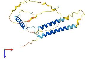 CCDC28B Protein (AA 1-200) (His tag)