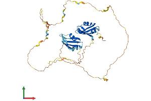 AlphaFold protein structure predicition of Human Recombinant DAZAP1 Protein, UniprotID Q96EP5