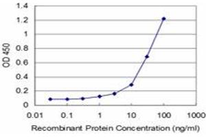 Detection limit for recombinant GST tagged TESK2 is approximately 1ng/ml as a capture antibody. (TESK2 抗体  (AA 405-542))