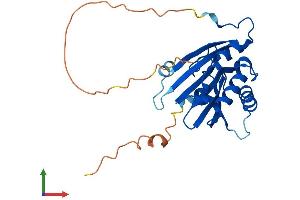 AlphaFold protein structure predicition of Human Recombinant EIF4E2 Protein, UniprotID O60573
