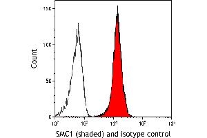 Flow Cytometry (FACS) image for anti-Structural Maintenance of Chromosomes 1A (SMC1A) (C-Term) antibody (ABIN7455193)