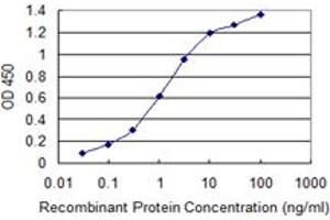Detection limit for recombinant GST tagged ULK2 is 0. (ULK2 抗体  (AA 743-843))
