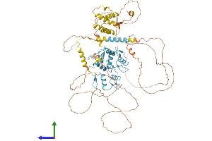 Protein Structure (PS) image for Zinc Finger Protein 509 (ZBTB49) (AA 1-765) protein (His tag) (ABIN7556109)