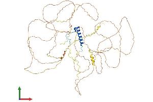 Protein Structure (PS) image for Nuclear Fragile X Mental Retardation Protein Interacting Protein 2 (NUFIP2) (AA 1-695) protein (His tag) (ABIN7549947)
