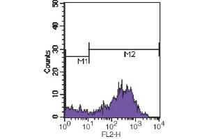 Flow Cytometry (FACS) image for anti-CD7 (CD7) antibody (PE) (ABIN2144763) (CD7 抗体  (PE))