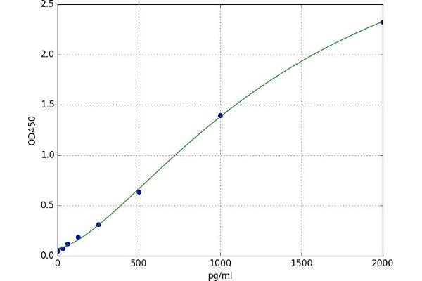 Amphiphysin ELISA 试剂盒