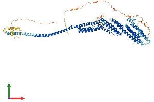Protein Structure (PS) image for Component of Oligomeric Golgi Complex 8 (COG8) (AA 1-640) protein (His tag) (ABIN7561575)