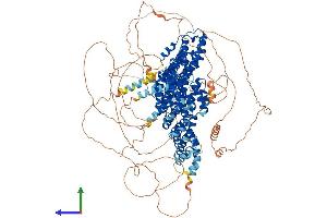 Protein Structure (PS) image for Cytoplasmic Linker Associated Protein 2 (CLASP2) (AA 1-1286) protein (His tag) (ABIN7564417)