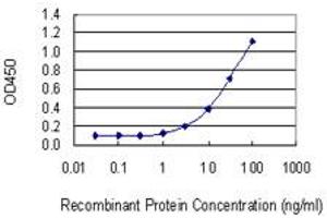 Detection limit for recombinant GST tagged COMT is 0. (COMT 抗体  (AA 1-182))