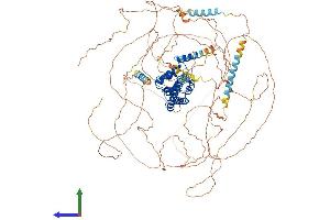 AlphaFold protein structure predicition of Mouse Recombinant Secisbp2l Protein, UniprotID Q6A098