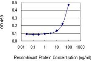 Detection limit for recombinant GST tagged DLG5 is 3 ng/ml as a capture antibody. (DLG5 抗体  (AA 1708-1809))